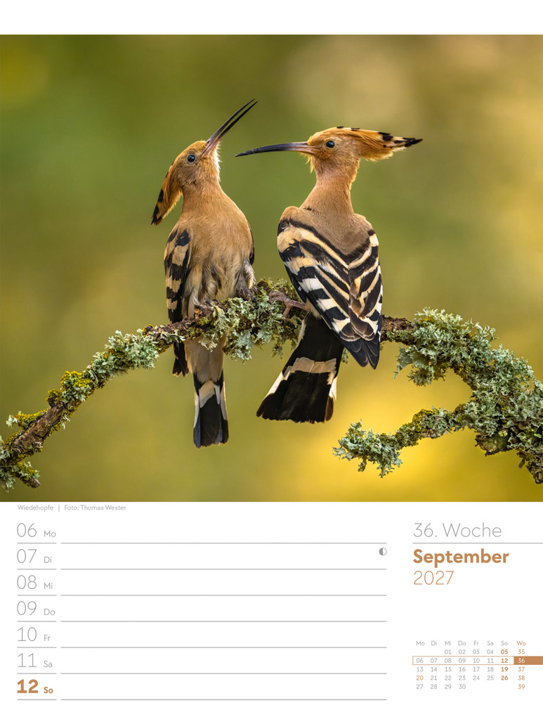 Weitere Ansicht: Unser Wald Wochenplaner Kalender 2027 | Ackermann Kunstverlag GmbH