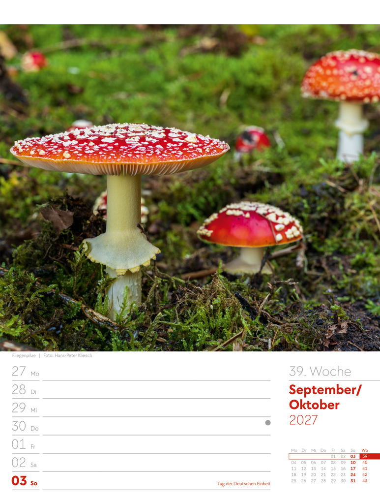 Weitere Ansicht: Unser Wald Wochenplaner Kalender 2027 | Ackermann Kunstverlag GmbH