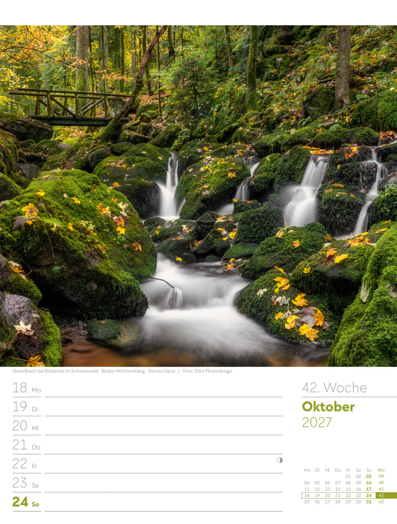 Weitere Ansicht: Unser Wald Wochenplaner Kalender 2027 | Ackermann Kunstverlag GmbH