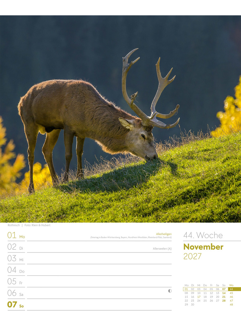 Weitere Ansicht: Unser Wald Wochenplaner Kalender 2027 | Ackermann Kunstverlag GmbH
