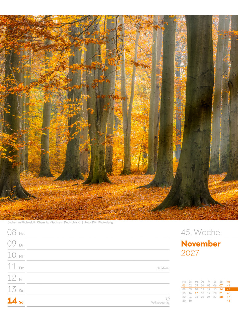 Weitere Ansicht: Unser Wald Wochenplaner Kalender 2027 | Ackermann Kunstverlag GmbH