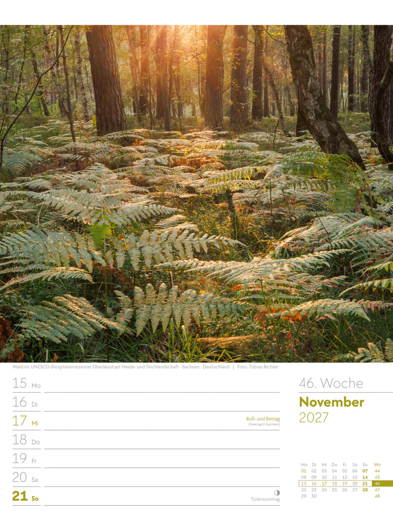 Weitere Ansicht: Unser Wald Wochenplaner Kalender 2027 | Ackermann Kunstverlag GmbH