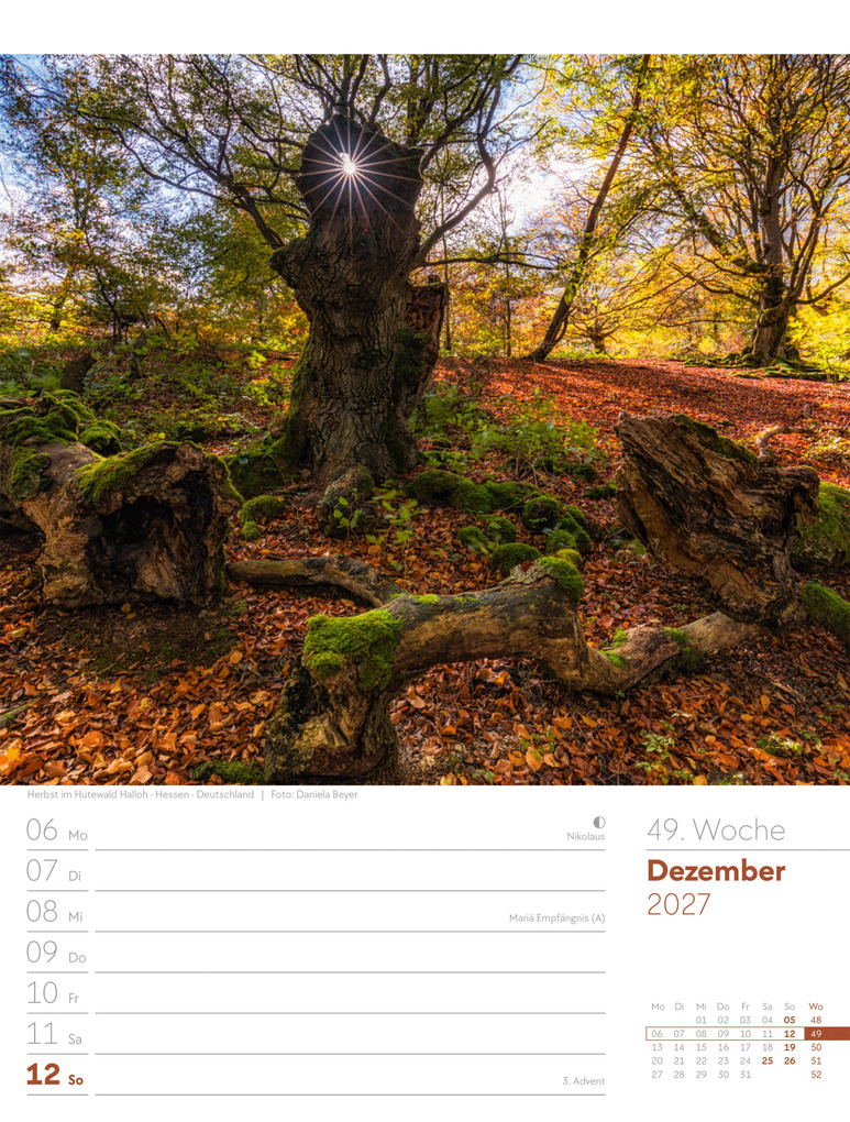 Weitere Ansicht: Unser Wald Wochenplaner Kalender 2027 | Ackermann Kunstverlag GmbH
