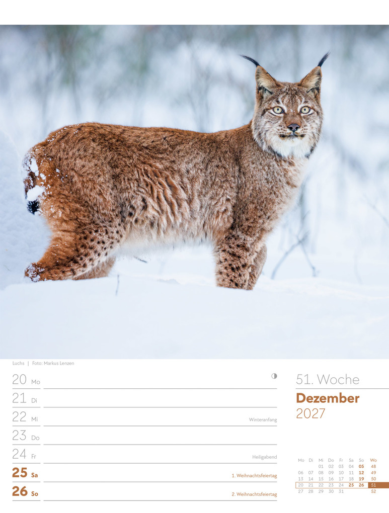 Weitere Ansicht: Unser Wald Wochenplaner Kalender 2027 | Ackermann Kunstverlag GmbH