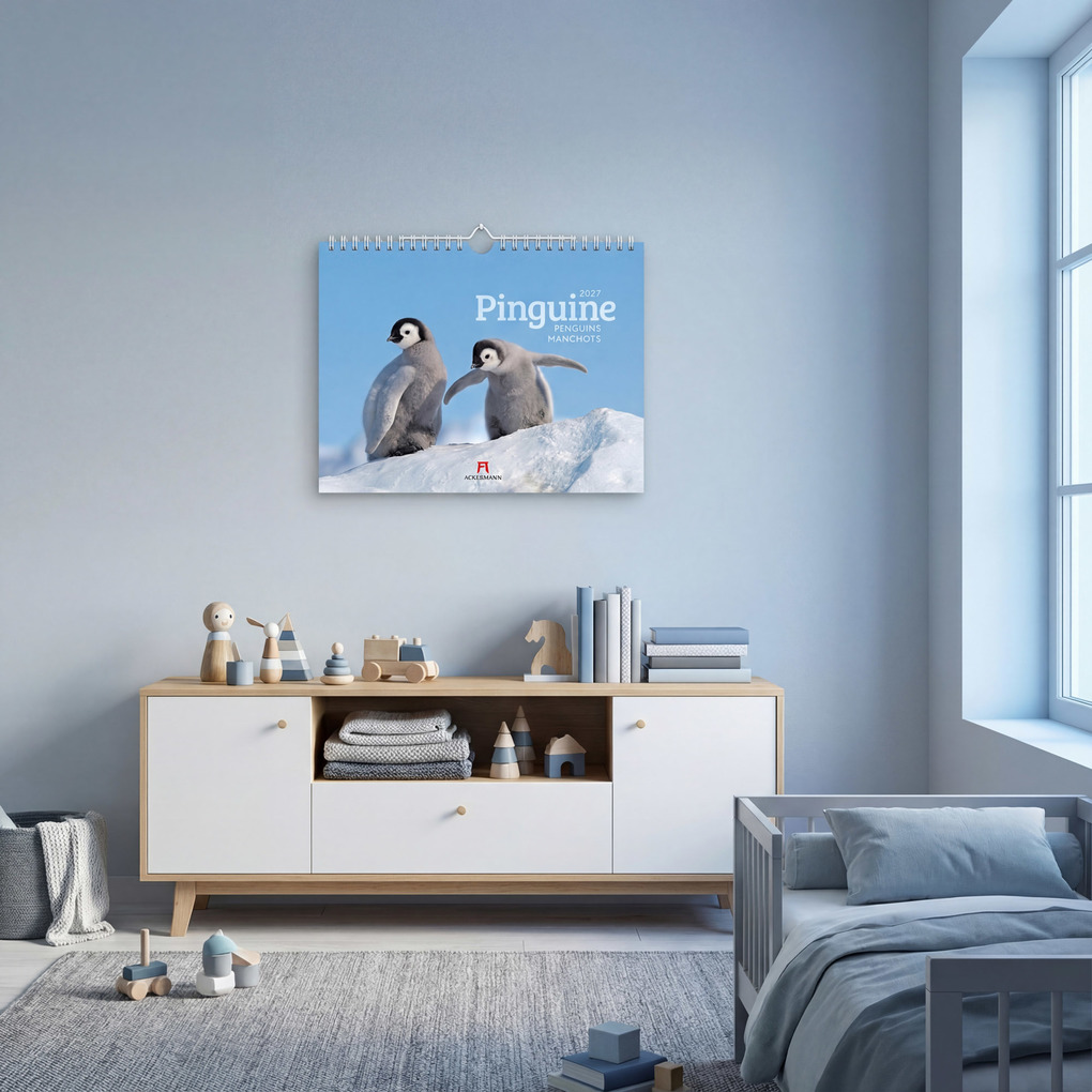 Weitere Ansicht: Pinguine Kalender 2027 | Ackermann Kunstverlag GmbH