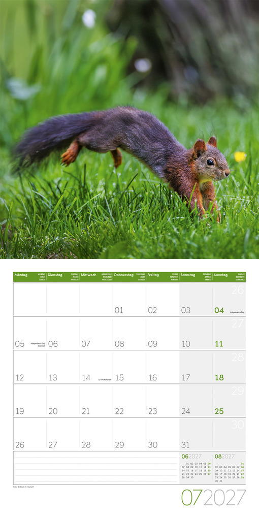 Weitere Ansicht: Eichhörnchen Kalender 2027 - 30x30 - Art12 | Ackermann Kunstverlag GmbH