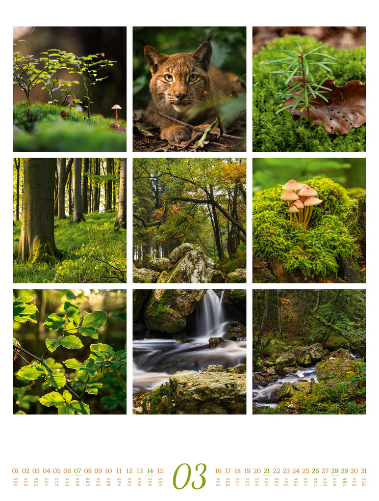 Weitere Ansicht: Inspiration Natur Kalender 2027 | Ackermann Kunstverlag GmbH