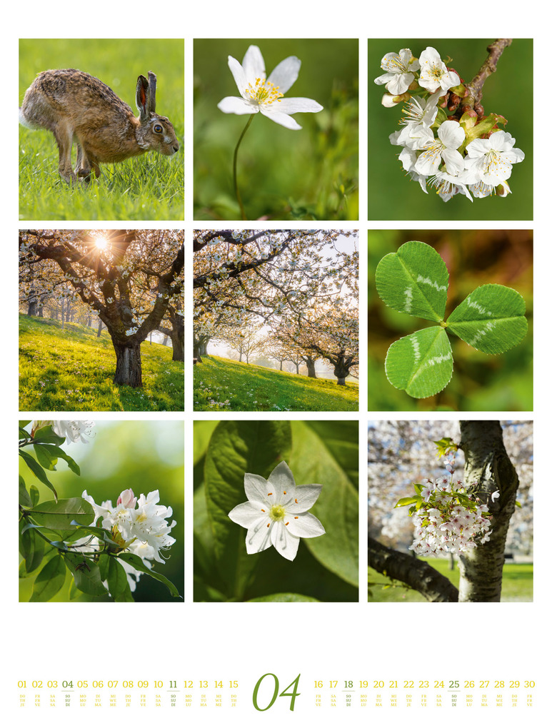 Weitere Ansicht: Inspiration Natur Kalender 2027 | Ackermann Kunstverlag GmbH