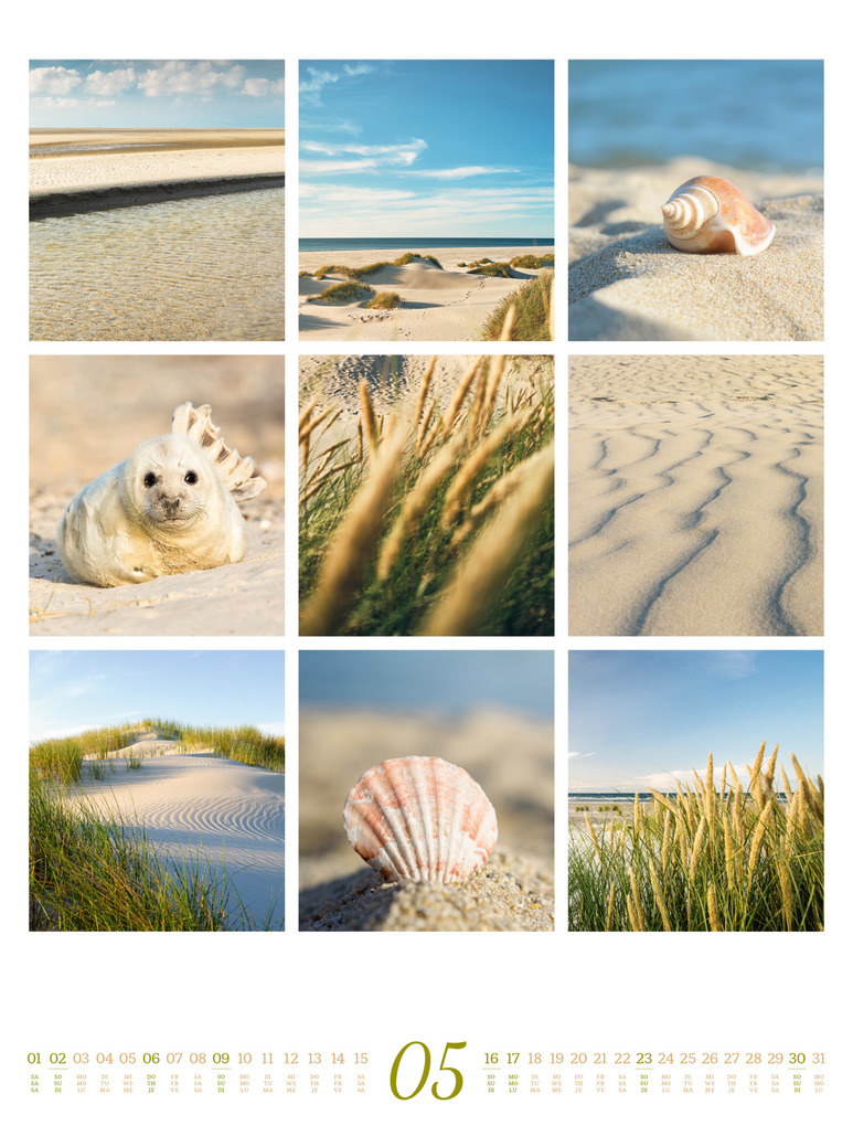 Weitere Ansicht: Inspiration Natur Kalender 2027 | Ackermann Kunstverlag GmbH