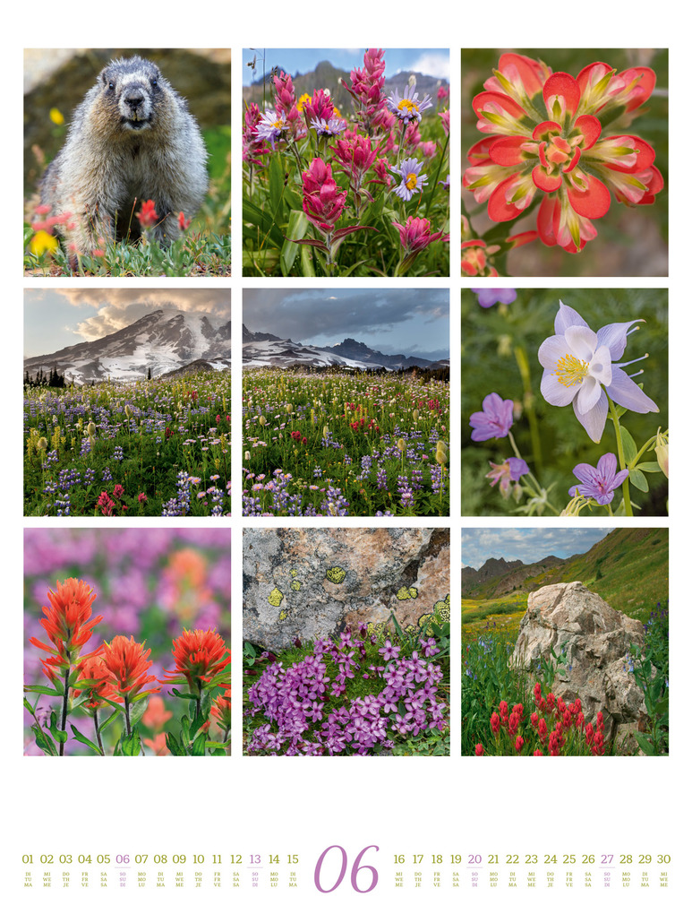 Weitere Ansicht: Inspiration Natur Kalender 2027 | Ackermann Kunstverlag GmbH