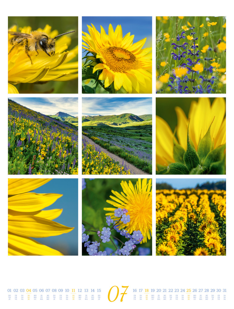 Weitere Ansicht: Inspiration Natur Kalender 2027 | Ackermann Kunstverlag GmbH