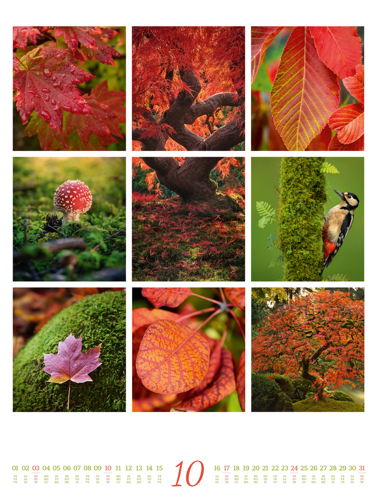 Weitere Ansicht: Inspiration Natur Kalender 2027 | Ackermann Kunstverlag GmbH