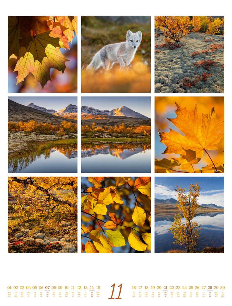 Weitere Ansicht: Inspiration Natur Kalender 2027 | Ackermann Kunstverlag GmbH