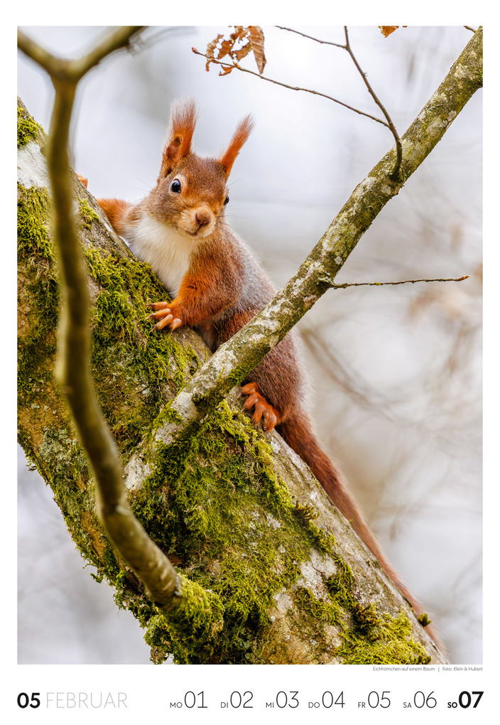 Weitere Ansicht: Garten Wochenkalender 2027 | Ackermann Kunstverlag GmbH