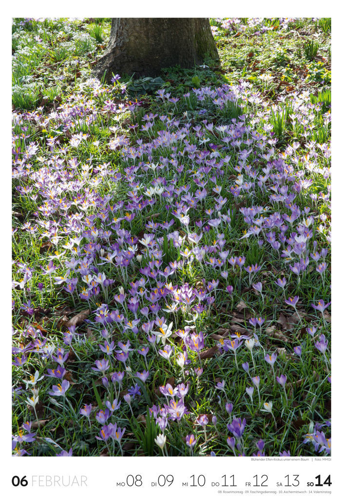 Weitere Ansicht: Garten Wochenkalender 2027 | Ackermann Kunstverlag GmbH