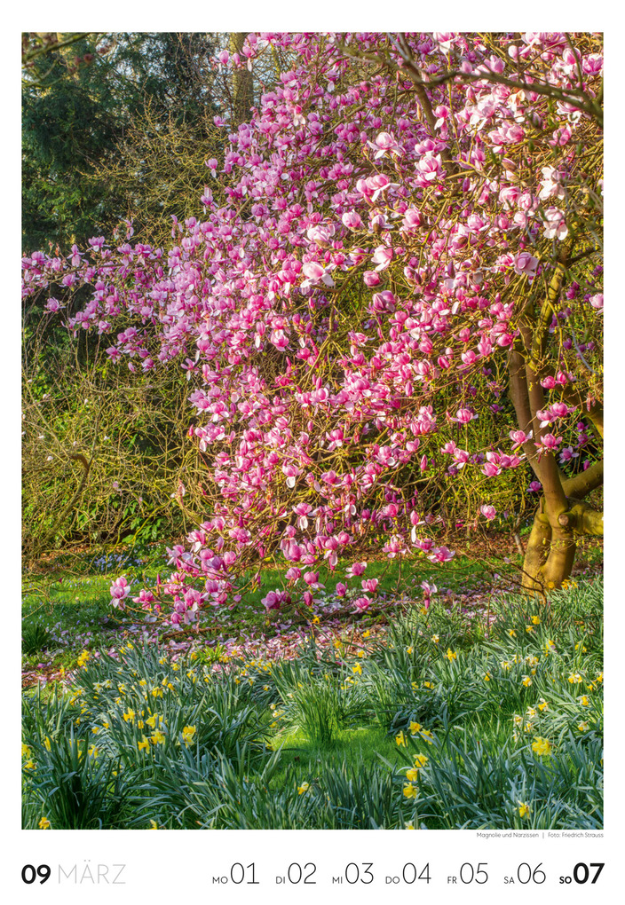 Weitere Ansicht: Garten Wochenkalender 2027 | Ackermann Kunstverlag GmbH