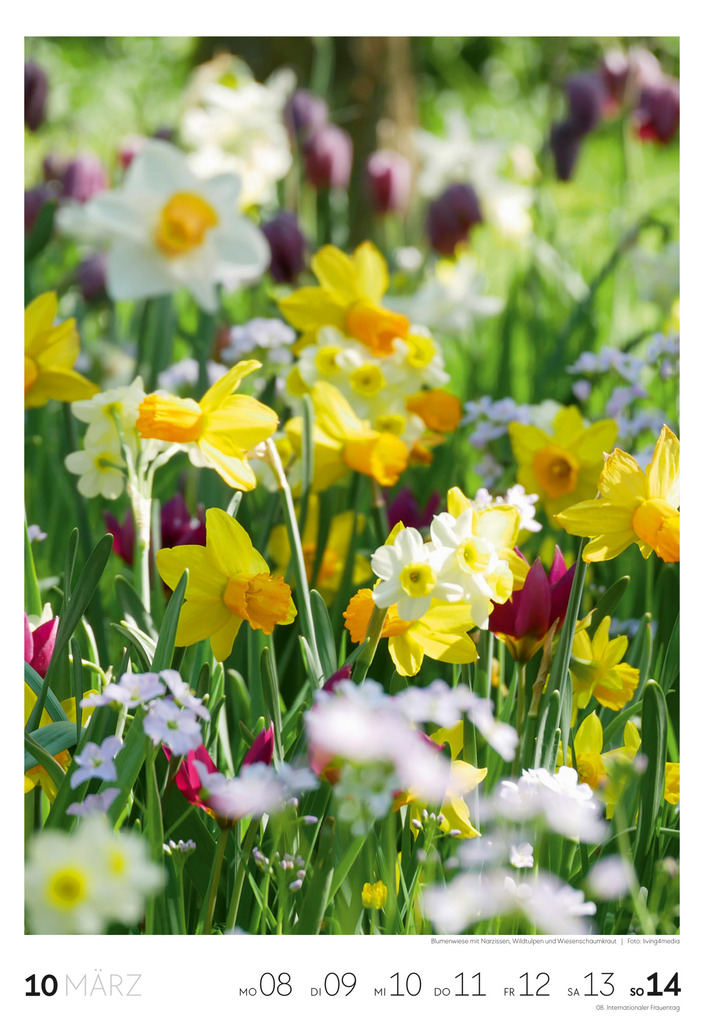 Weitere Ansicht: Garten Wochenkalender 2027 | Ackermann Kunstverlag GmbH