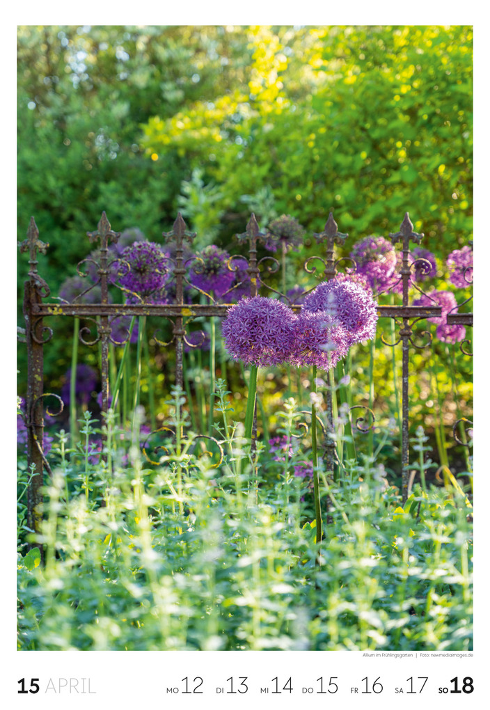 Weitere Ansicht: Garten Wochenkalender 2027 | Ackermann Kunstverlag GmbH