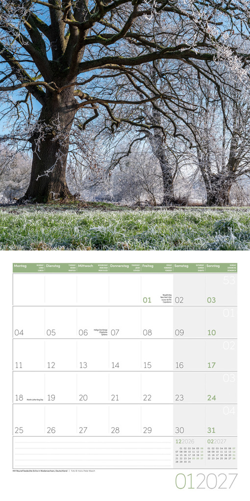 Weitere Ansicht: Bäume Kalender 2027 - 30x30 - Art12 | Ackermann Kunstverlag GmbH