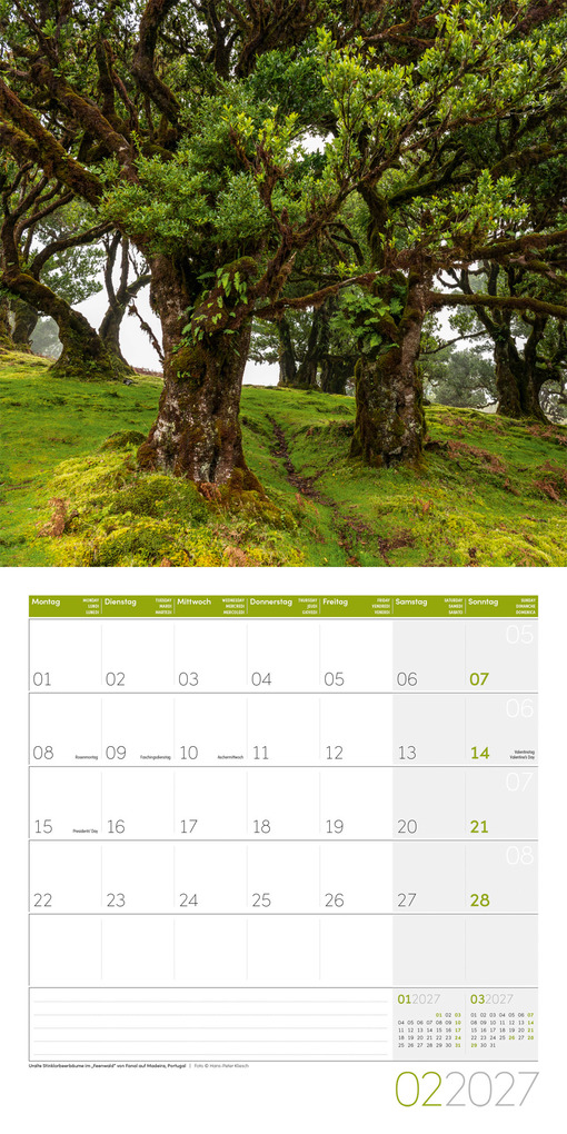 Weitere Ansicht: Bäume Kalender 2027 - 30x30 - Art12 | Ackermann Kunstverlag GmbH