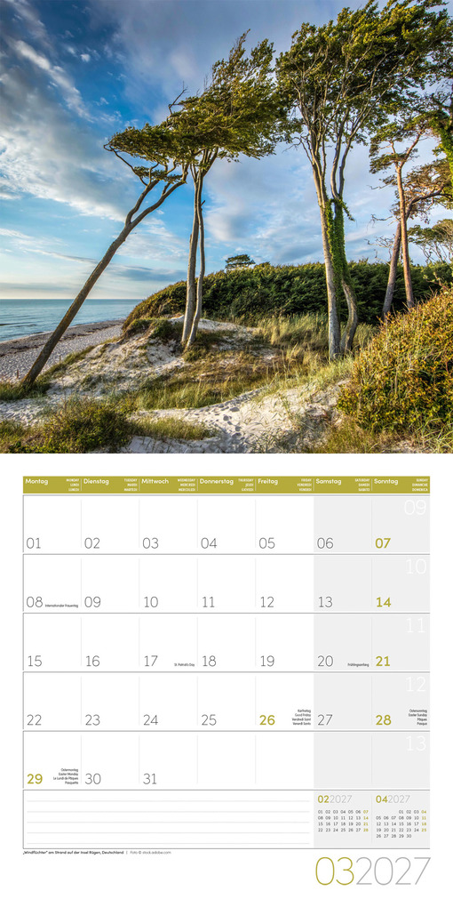Weitere Ansicht: Bäume Kalender 2027 - 30x30 - Art12 | Ackermann Kunstverlag GmbH