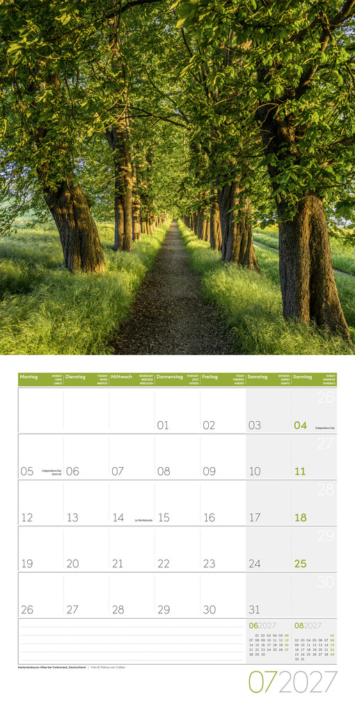 Weitere Ansicht: Bäume Kalender 2027 - 30x30 - Art12 | Ackermann Kunstverlag GmbH