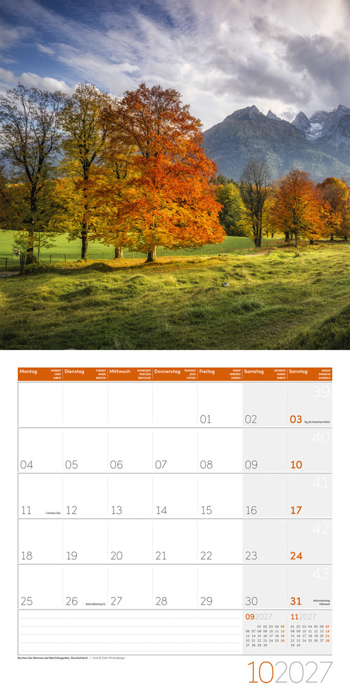 Weitere Ansicht: Bäume Kalender 2027 - 30x30 - Art12 | Ackermann Kunstverlag GmbH