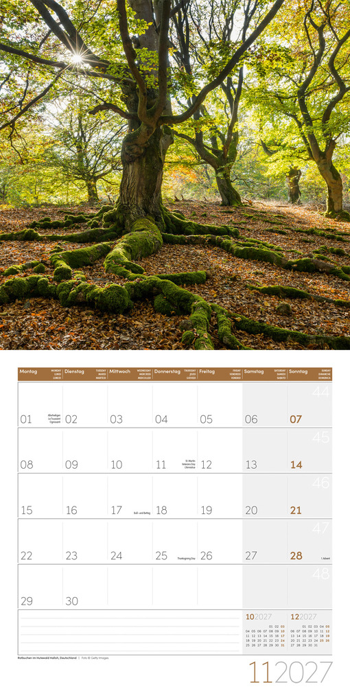 Weitere Ansicht: Bäume Kalender 2027 - 30x30 - Art12 | Ackermann Kunstverlag GmbH