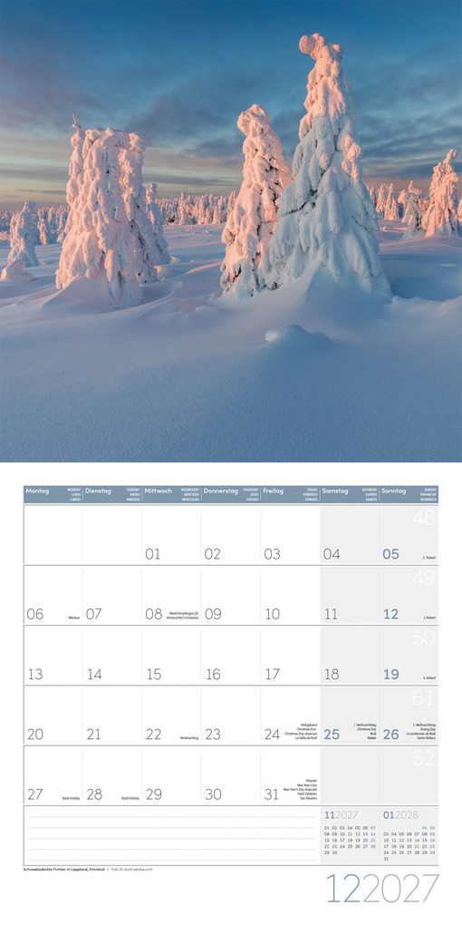 Weitere Ansicht: Bäume Kalender 2027 - 30x30 - Art12 | Ackermann Kunstverlag GmbH