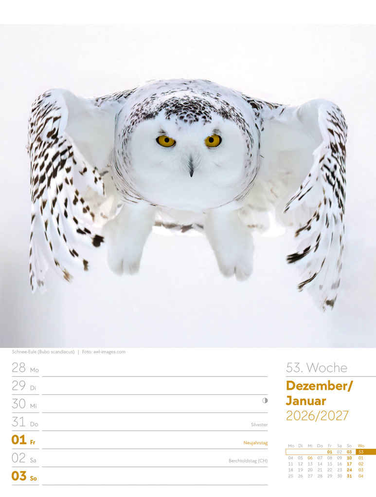 Weitere Ansicht: Vögel Wochenplaner Kalender 2027 | Ackermann Kunstverlag GmbH