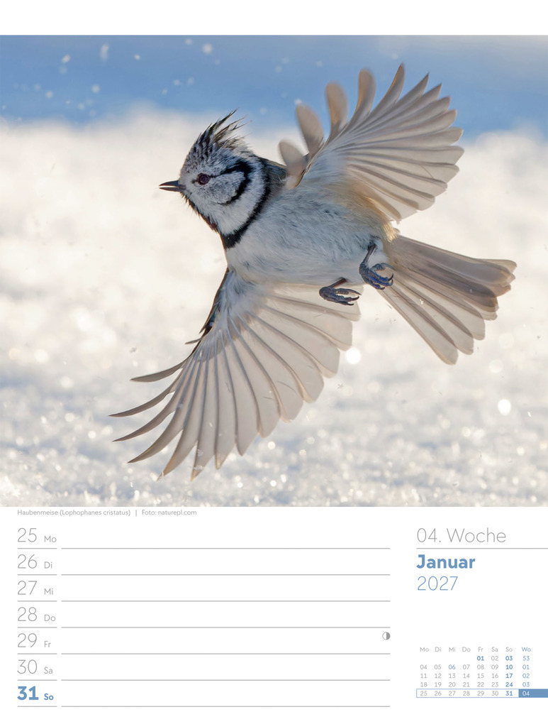 Weitere Ansicht: Vögel Wochenplaner Kalender 2027 | Ackermann Kunstverlag GmbH