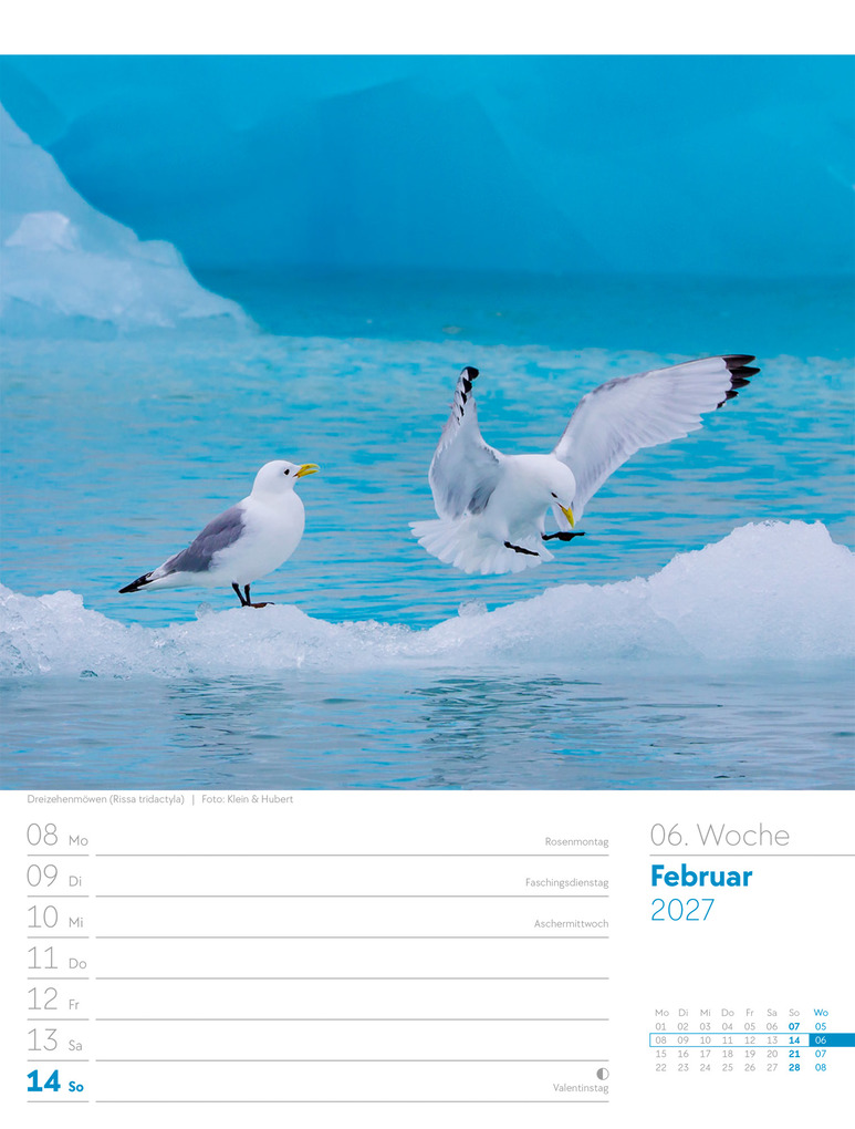 Weitere Ansicht: Vögel Wochenplaner Kalender 2027 | Ackermann Kunstverlag GmbH