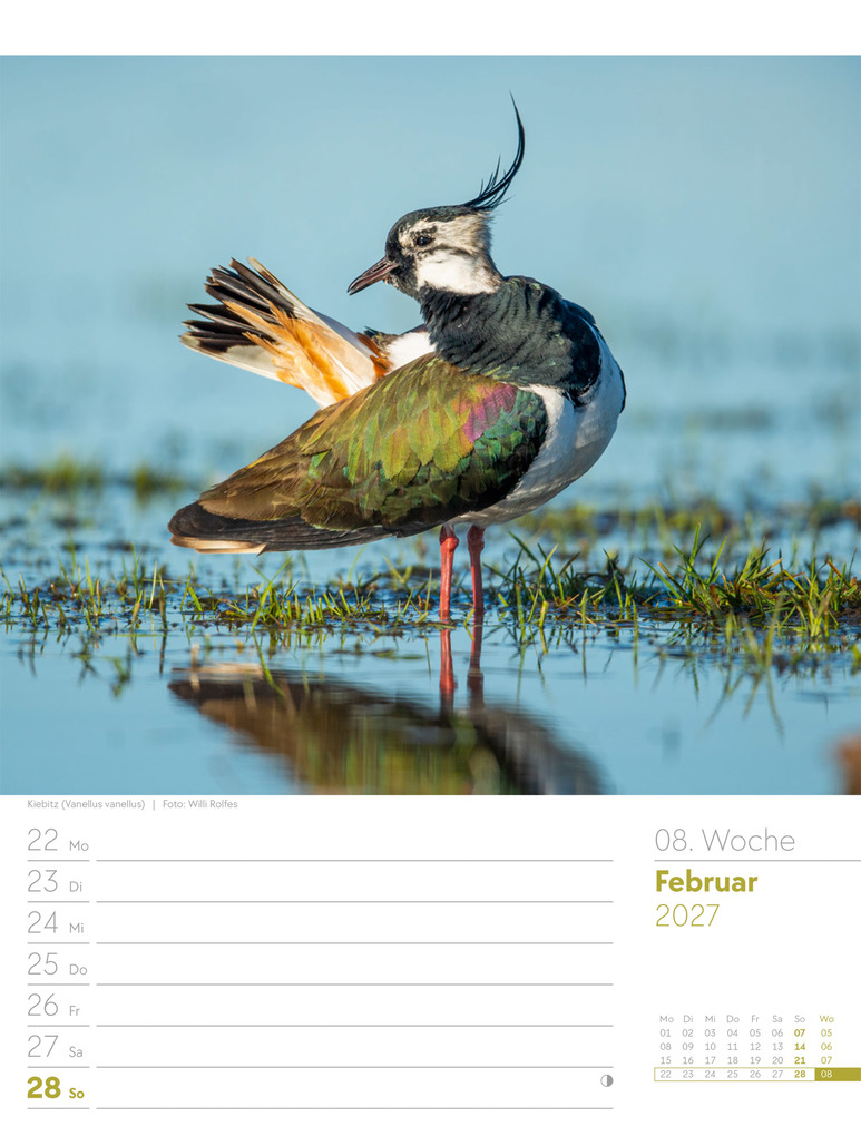 Weitere Ansicht: Vögel Wochenplaner Kalender 2027 | Ackermann Kunstverlag GmbH