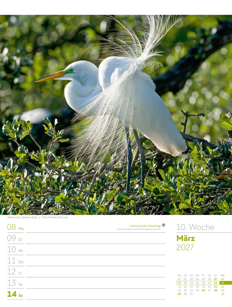 Weitere Ansicht: Vögel Wochenplaner Kalender 2027 | Ackermann Kunstverlag GmbH