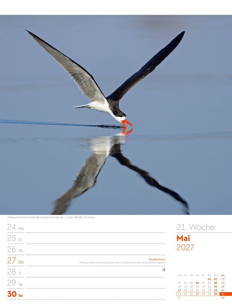 Weitere Ansicht: Vögel Wochenplaner Kalender 2027 | Ackermann Kunstverlag GmbH