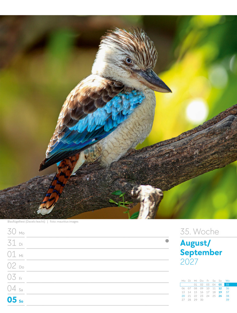 Weitere Ansicht: Vögel Wochenplaner Kalender 2027 | Ackermann Kunstverlag GmbH