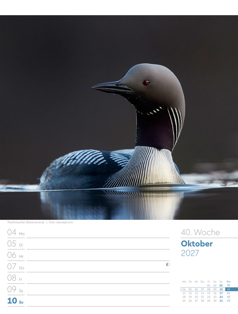 Weitere Ansicht: Vögel Wochenplaner Kalender 2027 | Ackermann Kunstverlag GmbH