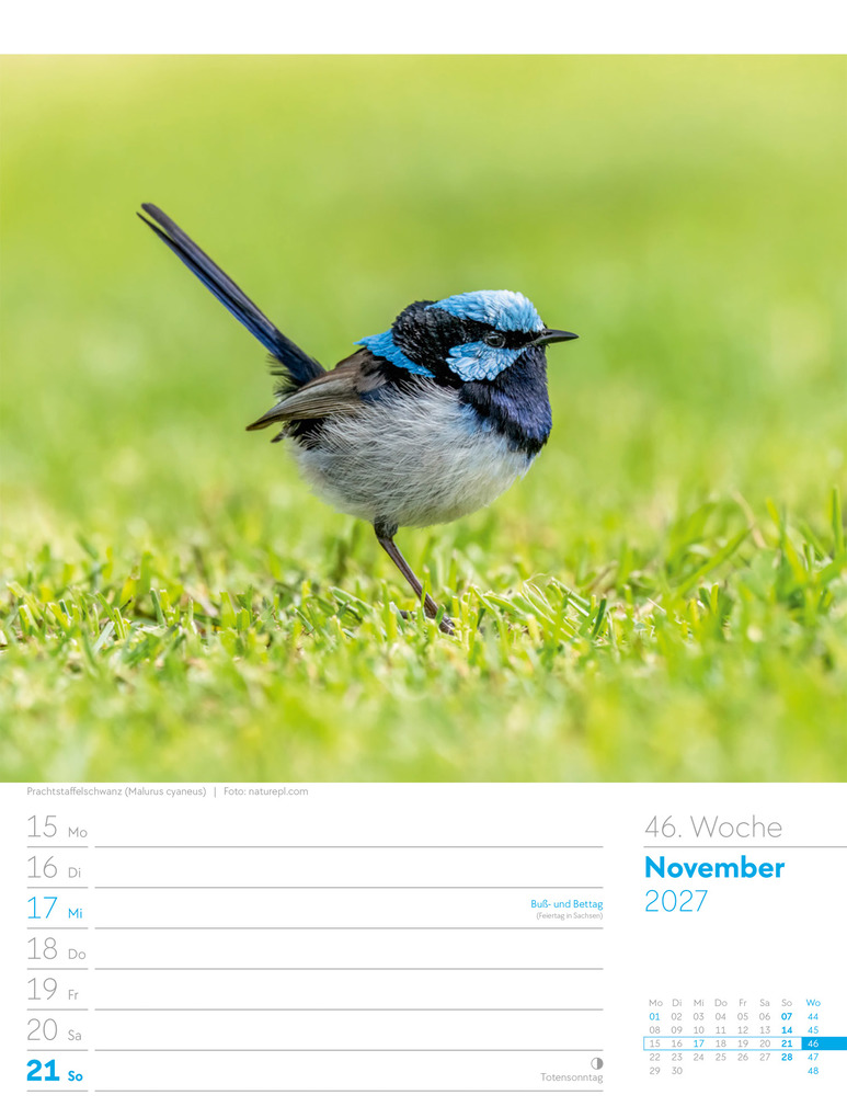Weitere Ansicht: Vögel Wochenplaner Kalender 2027 | Ackermann Kunstverlag GmbH