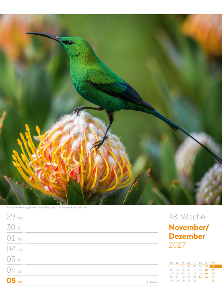 Weitere Ansicht: Vögel Wochenplaner Kalender 2027 | Ackermann Kunstverlag GmbH