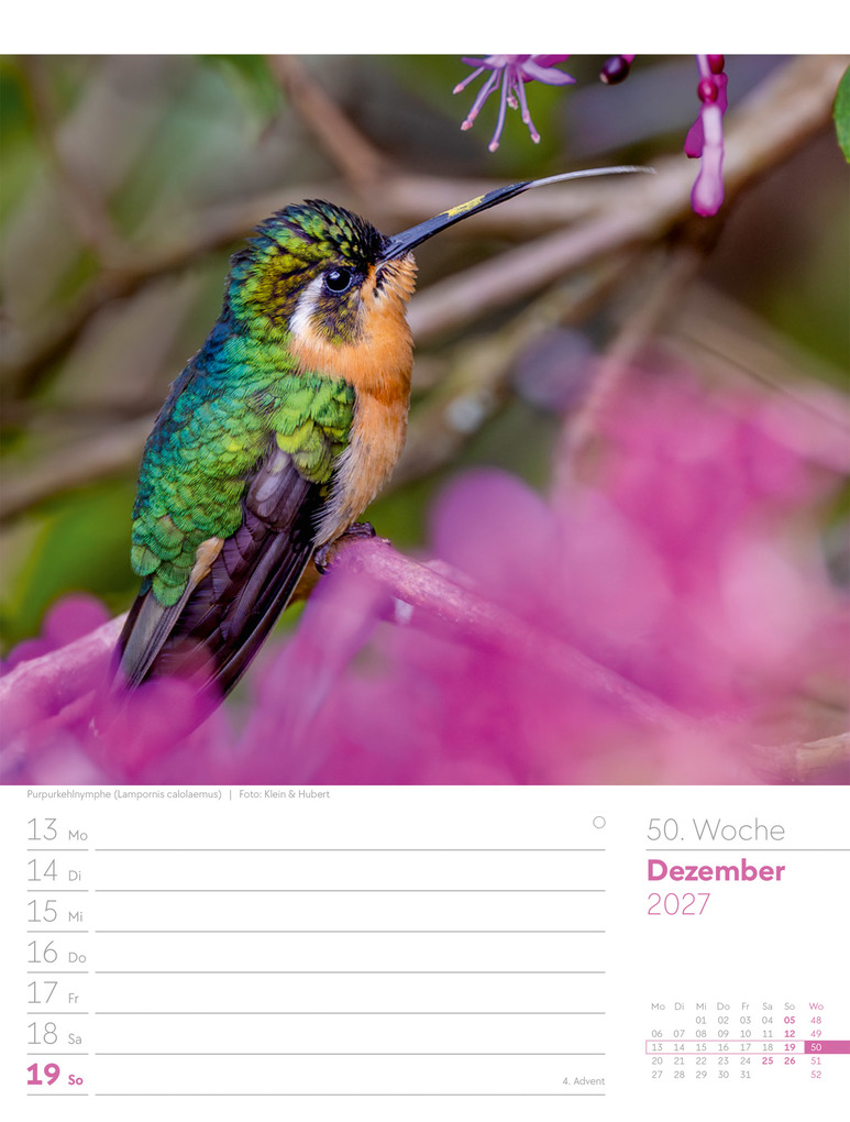 Weitere Ansicht: Vögel Wochenplaner Kalender 2027 | Ackermann Kunstverlag GmbH