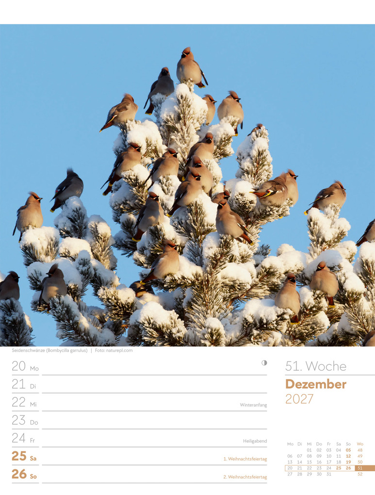 Weitere Ansicht: Vögel Wochenplaner Kalender 2027 | Ackermann Kunstverlag GmbH