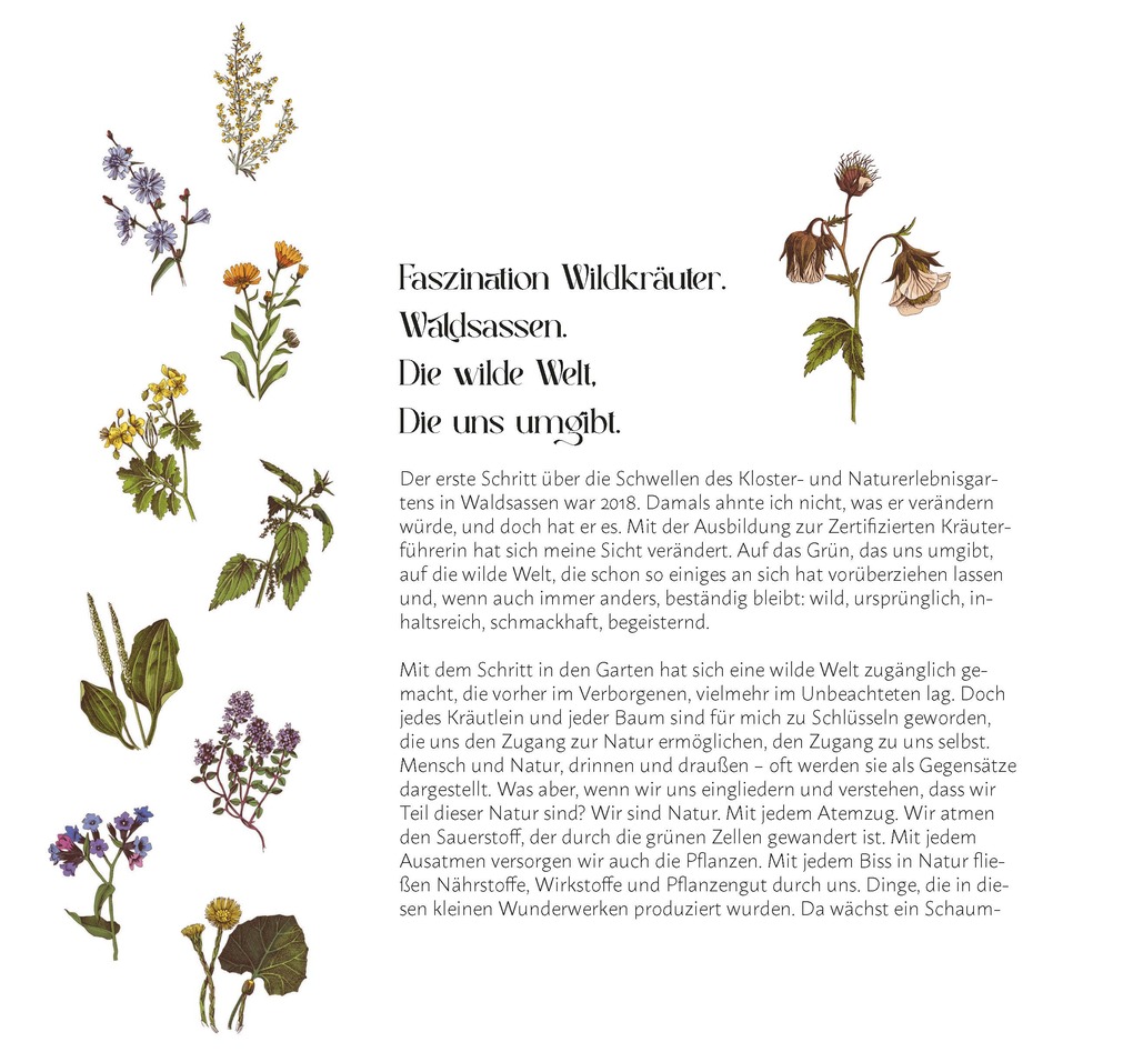 Weitere Ansicht: Faszination Wildkräuter | Cornelia Müller