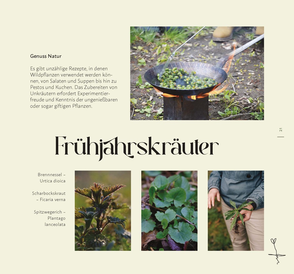 Weitere Ansicht: Faszination Wildkräuter | Cornelia Müller