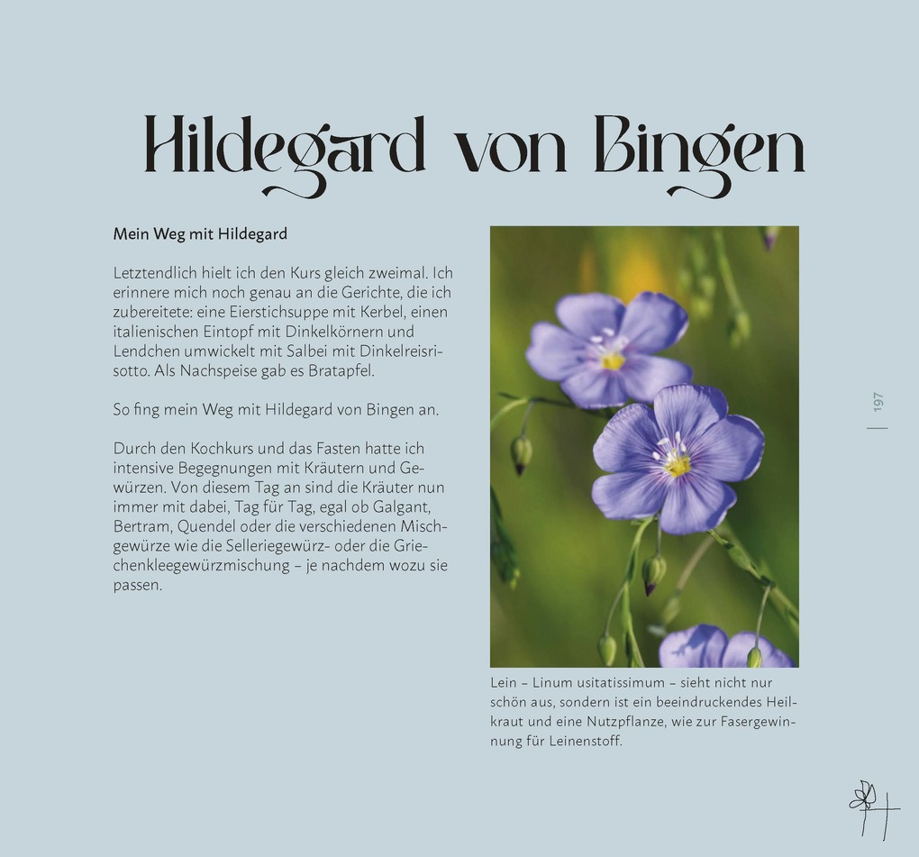 Weitere Ansicht: Faszination Wildkräuter | Cornelia Müller