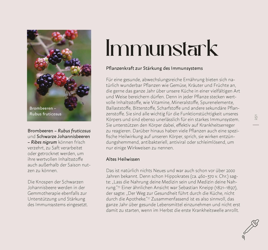 Weitere Ansicht: Faszination Wildkräuter | Cornelia Müller