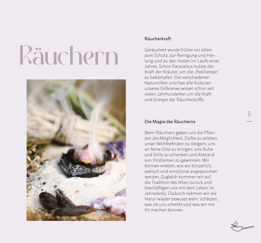 Weitere Ansicht: Faszination Wildkräuter | Cornelia Müller