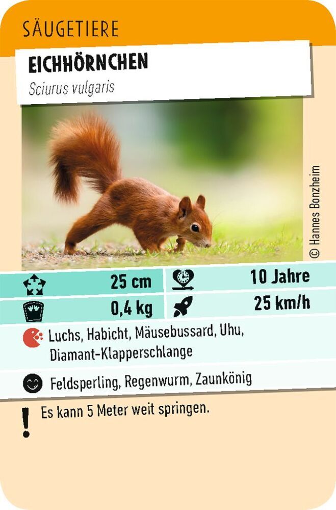 Weitere Ansicht: Tiere Toppen | Silke Klemt, Sophia Tourpouzidis