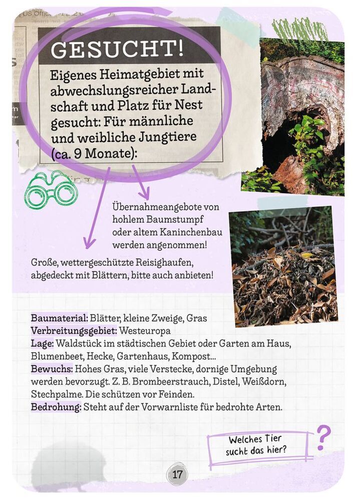 Weitere Ansicht: Tierische Wohnung gesucht | Inga Marie Ramcke