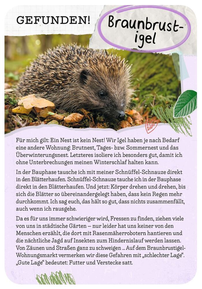 Weitere Ansicht: Tierische Wohnung gesucht | Inga Marie Ramcke