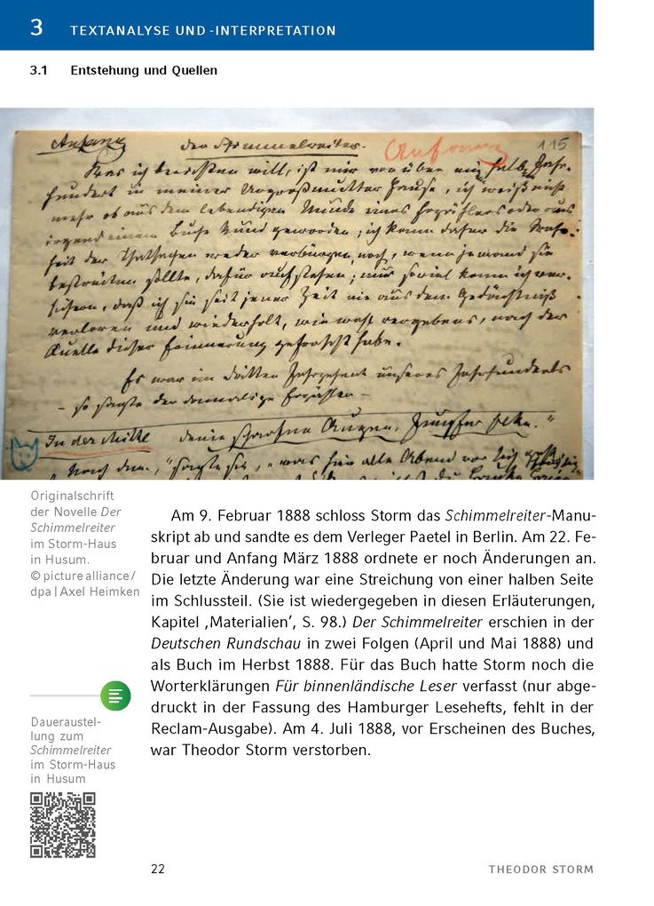 Weitere Ansicht: Der Schimmelreiter von Theodor Storm